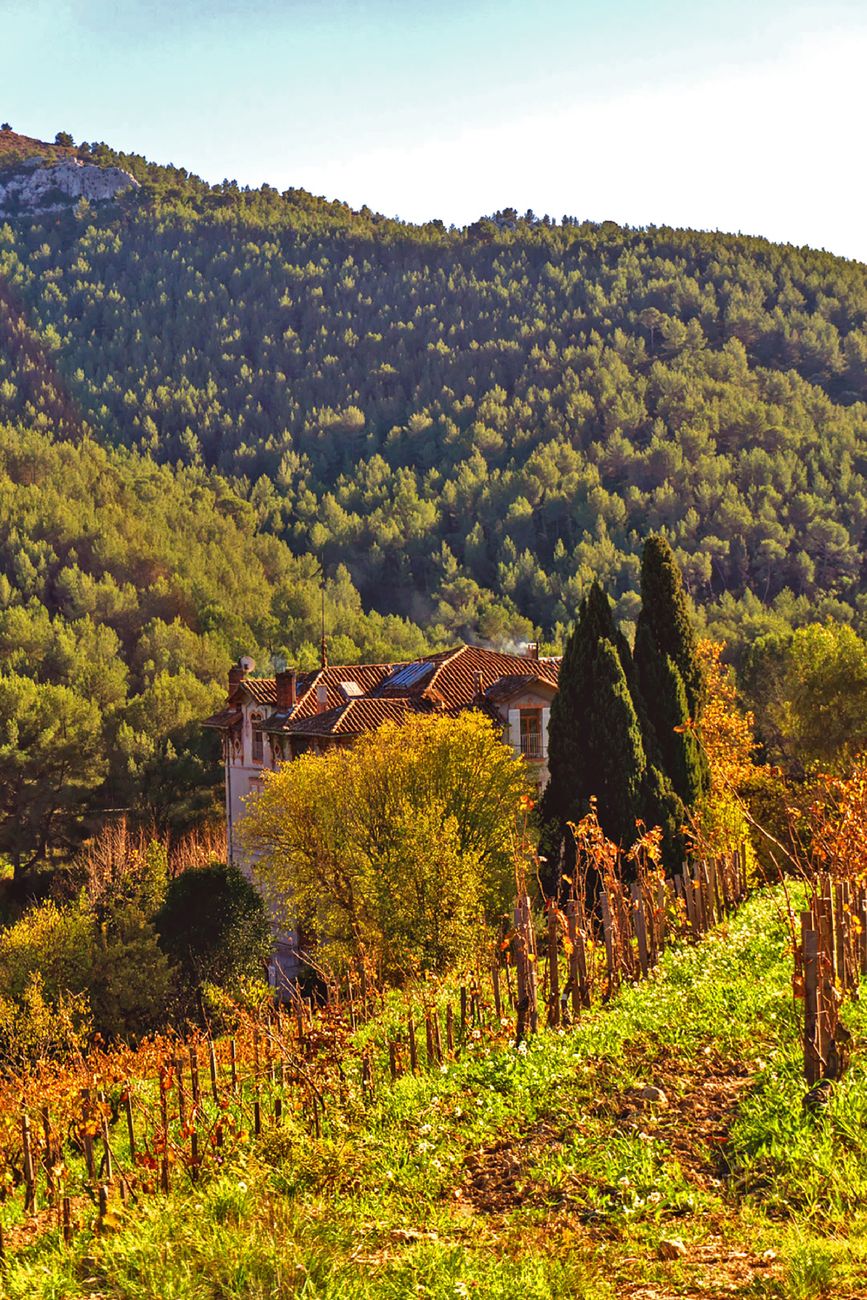 Château français et vignobles en Provence