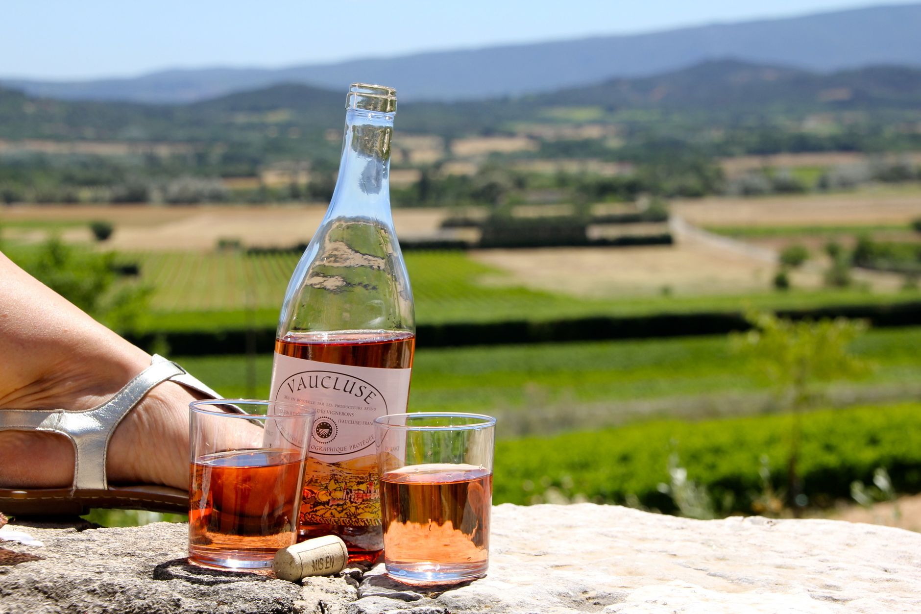 Vignobles de Provence et dégustation